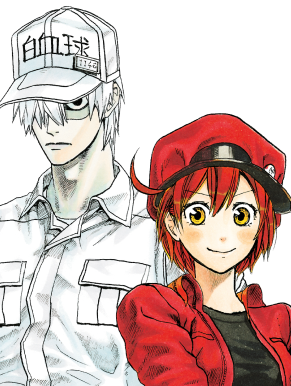 !Cells at Work
